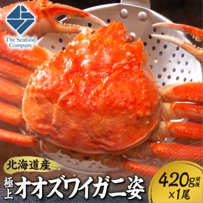 北海道産極上オオズワイガニ姿 420g前後×1尾_hs408-021