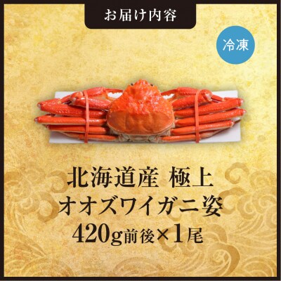 北海道産極上オオズワイガニ姿 420g前後×1尾_hs408-021