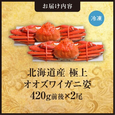 北海道産極上オオズワイガニ姿 420g前後×2尾セット_hs408-022
