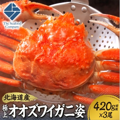北海道産極上オオズワイガニ姿 420g前後×3尾セット_hs408-023
