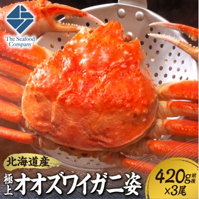 北海道産極上オオズワイガニ姿 420g前後×3尾セット_hs408-023