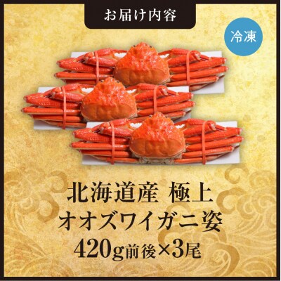 北海道産極上オオズワイガニ姿 420g前後×3尾セット_hs408-023
