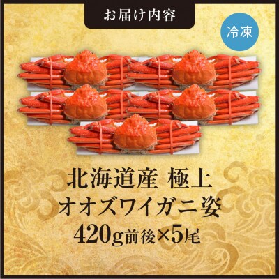 北海道産極上オオズワイガニ姿 420g前後×5尾セット_hs408-025