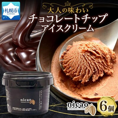 nicao チョコレートチップアイスクリーム 6個_hs328-001