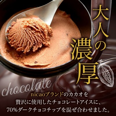 nicao チョコレートチップアイスクリーム 6個_hs328-001