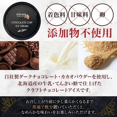 nicao チョコレートチップアイスクリーム 6個_hs328-001
