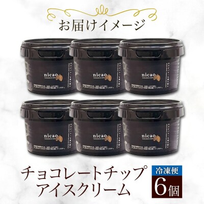 nicao チョコレートチップアイスクリーム 6個_hs328-001