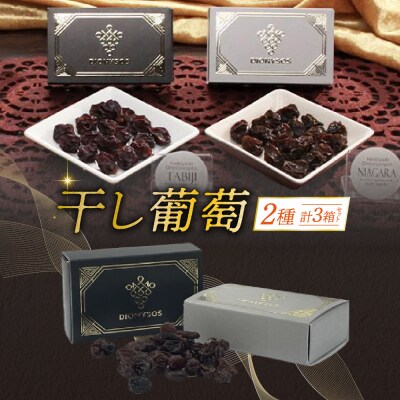 北海道完全無添加干し葡萄 DIONYSOS2種セット 計3箱_hs127-007