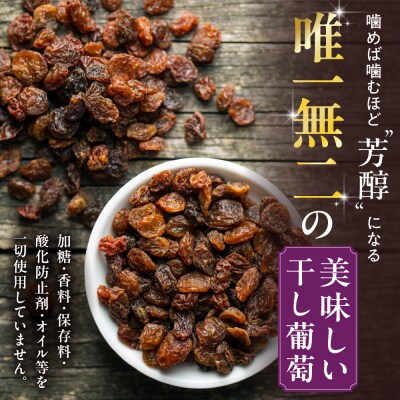 北海道完全無添加干し葡萄 DIONYSOS2種セット×4セット_hs127-008