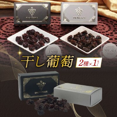 北海道完全無添加干し葡萄　DIONYSOS2種セット×1セット_hs127-012