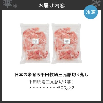 日本の米育ち平田牧場三元豚切り落し500g×2_hs394-005