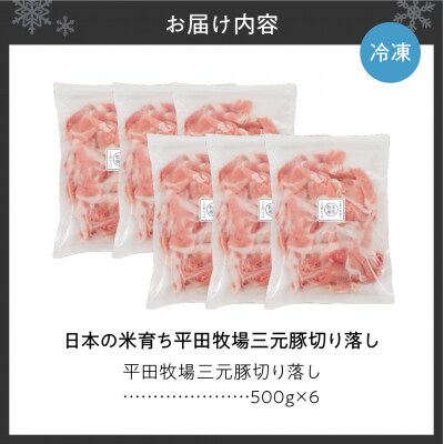日本の米育ち平田牧場三元豚切り落し500g×6_hs394-007