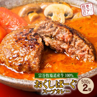 奥芝商店 とろけるチーズとおくしばーぐのスープカレー_hs026-005