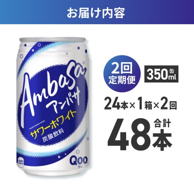 【2ヶ月定期便】アンバサ サワーホワイト 350ml缶×24本_hs137-210