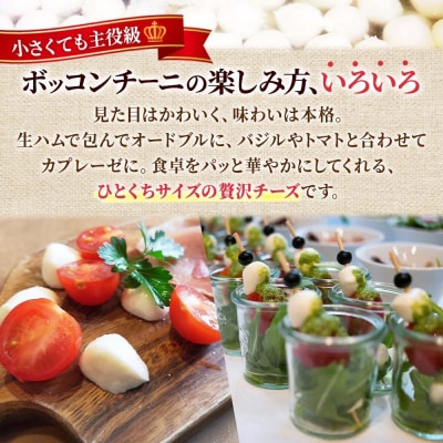 モッツァレラ (ボッコンチーニ6玉)140g×2_hs324-004