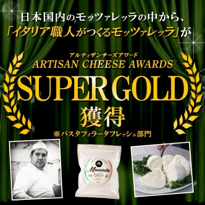 モッツァレラ 100g×5_hs324-003