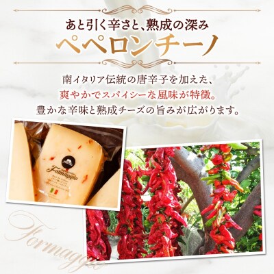 フォルマッジョ3種食べ比べ_hs324-018