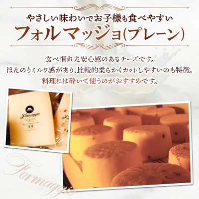 熟成チーズ2種食べ比べ_hs324-019