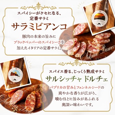 サラミ3種セット_hs324-020