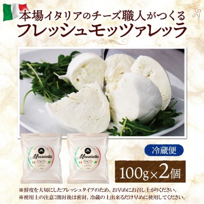 モッツァレラ 100g×2_hs324-001