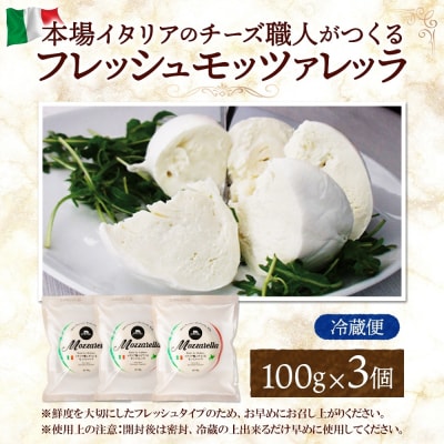 モッツァレラ 100g×3_hs324-002