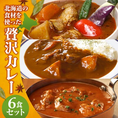 北海道の食材を使った贅沢カレー6食セット_hs489-002