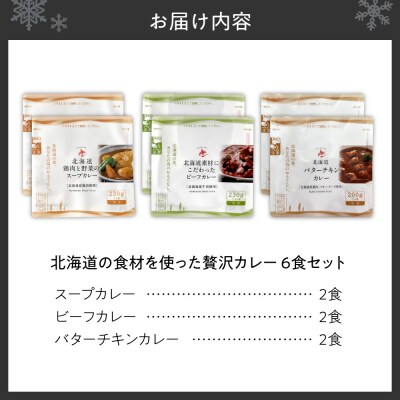 北海道の食材を使った贅沢カレー6食セット_hs489-002