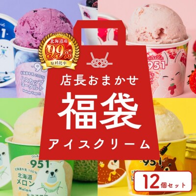 【福袋】951アイスクリーム　12個セット_hs359-031