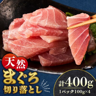 まぐろ切り落とし 100g×4パック_hs027-062