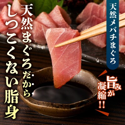 まぐろ切り落とし 100g×8パック_hs027-063