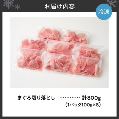 まぐろ切り落とし 100g×8パック_hs027-063