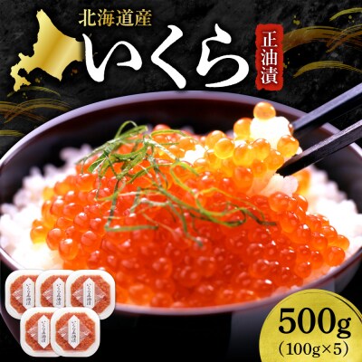 いくら正油漬　100g×5_hs439-003