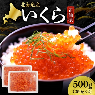 いくら正油漬　250g×2_hs439-005