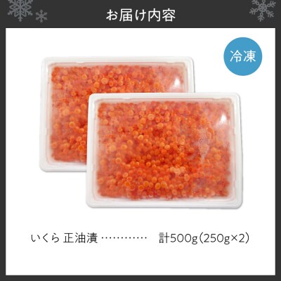 いくら正油漬　250g×2_hs439-005