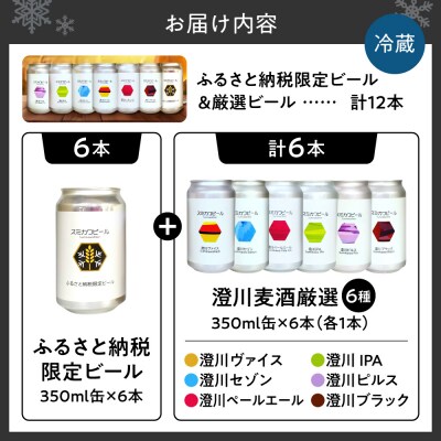 【先行予約】澄川麦酒ふるさと納税限定ビール6本+厳選6本　12本セット_hs466-007