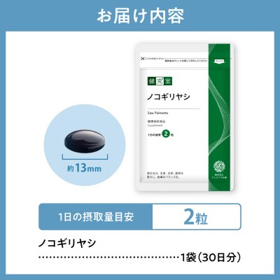 ノコギリヤシ_hs456-017