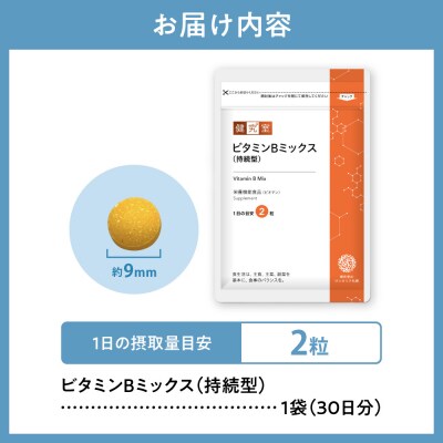 ビタミンBミックス(持続型)_hs456-026