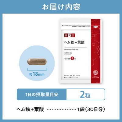 ヘム鉄+葉酸_hs456-034