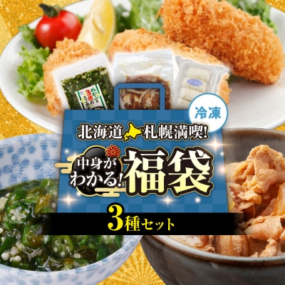 北海道札幌!中身が分かる!福袋3種(冷凍・惣菜)_hs291-231