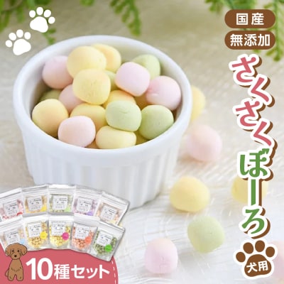 Humming Dog さくさくぼーろ 10個セット_hs120-002