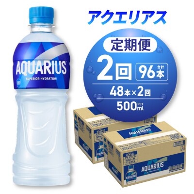 【2ヶ月定期便】アクエリアス500mlPET×48本_hs137-216