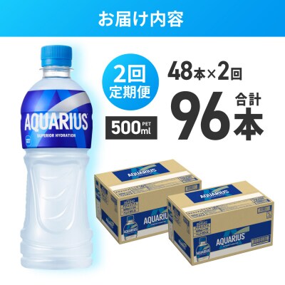 【2ヶ月定期便】アクエリアス500mlPET×48本_hs137-216