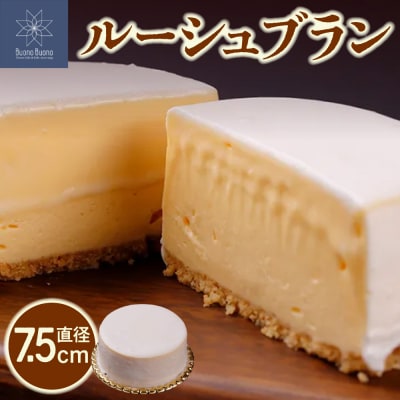 ルーシュブラン_hs476-004