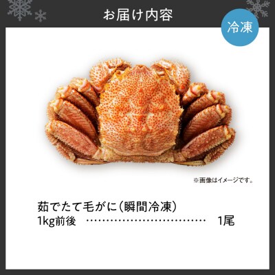 茹でたて毛がに(瞬間冷凍)1kg前後_hs067-014