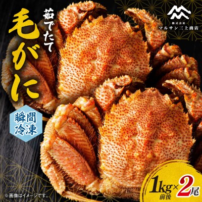 茹でたて毛がに(瞬間冷凍)1kg前後×2尾_hs067-015