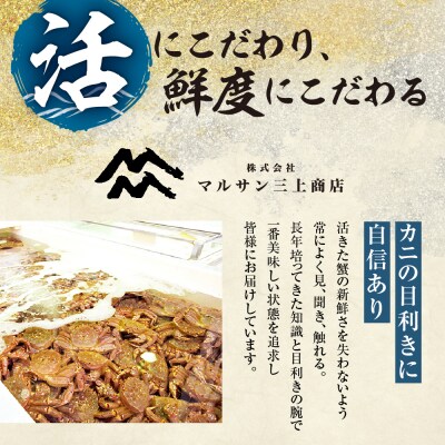 茹でたて毛がに(瞬間冷凍)1kg前後×2尾_hs067-015