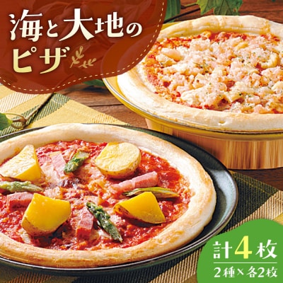 海と大地のピザ_hs145-124