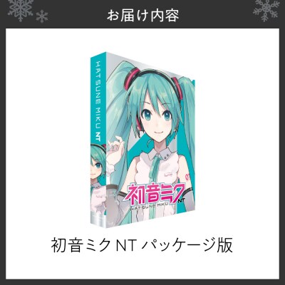 初音ミク NT/パッケージ_hs017-740