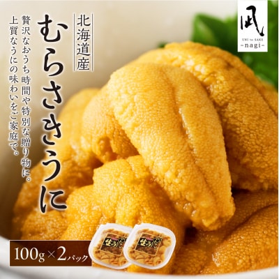 【先行予約】《北海道産》ムラサキウニ 塩水100g×2パック＜札幌カネシン水産＞_hs017-751