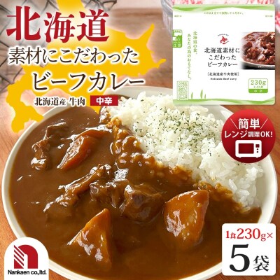 北海道素材にこだわったビーフカレー 5食_hs326-007
